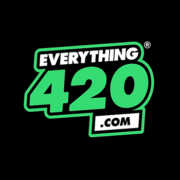 why do all disposable vapes have menthol Menthol vs Ice Vape Flavors: Key Differences and Taste Guide