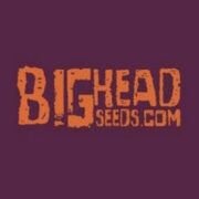 420 Coupon Codes   Verified sales May 2026